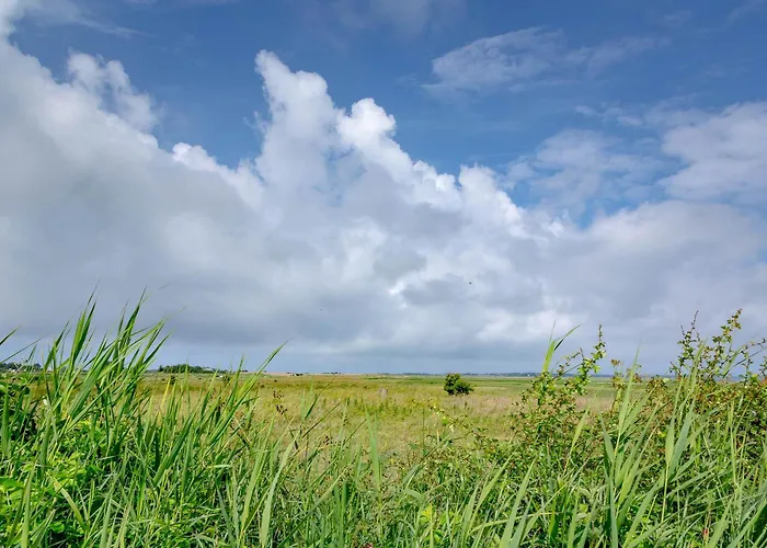 Heefwai 2 - W4 Lägenhet *